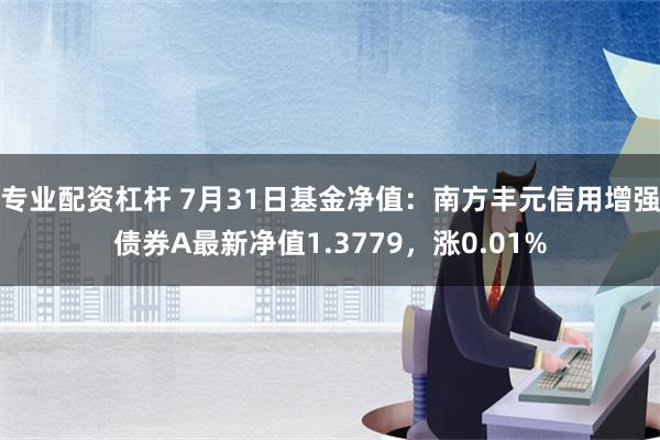 专业配资杠杆 7月31日基金净值：南方丰元信用增强债券A最新净值1.3779，涨0.01%