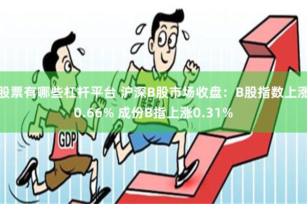 股票有哪些杠杆平台 沪深B股市场收盘：B股指数上涨0.66% 成份B指上涨0.31%