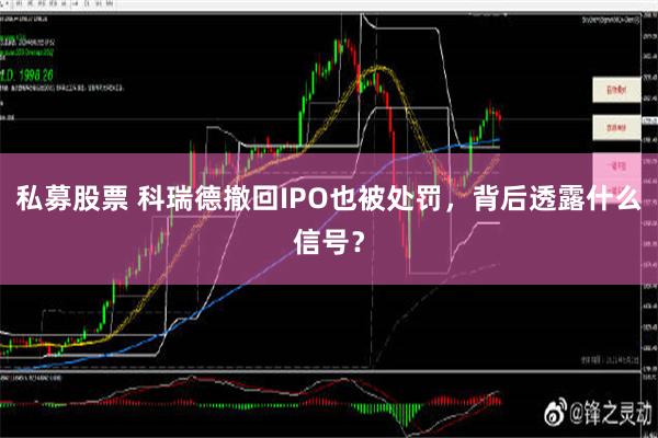 私募股票 科瑞德撤回IPO也被处罚，背后透露什么信号？