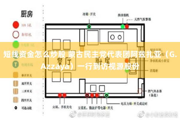 短线资金怎么炒股 蒙古民主党代表团阿兹扎亚（G.Azzaya）一行到访视源股份