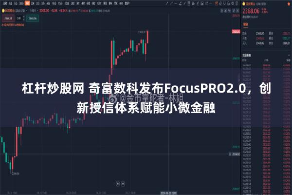 杠杆炒股网 奇富数科发布FocusPRO2.0，创新授信体系赋能小微金融