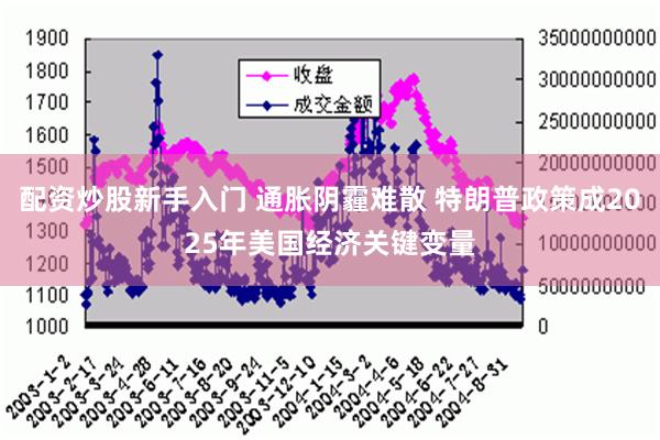 配资炒股新手入门 通胀阴霾难散 特朗普政策成2025年美国经济关键变量