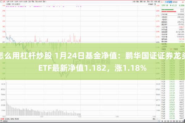 怎么用杠杆炒股 1月24日基金净值：鹏华国证证券龙头ETF最新净值1.182，涨1.18%