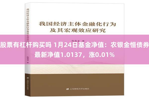 股票有杠杆购买吗 1月24日基金净值：农银金恒债券最新净值1.0137，涨0.01%