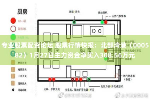 专业股票配资论坛 股票行情快报：北部湾港（000582）1月27日主力资金净买入308.56万元