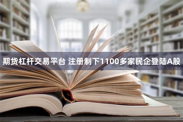 期货杠杆交易平台 注册制下1100多家民企登陆A股